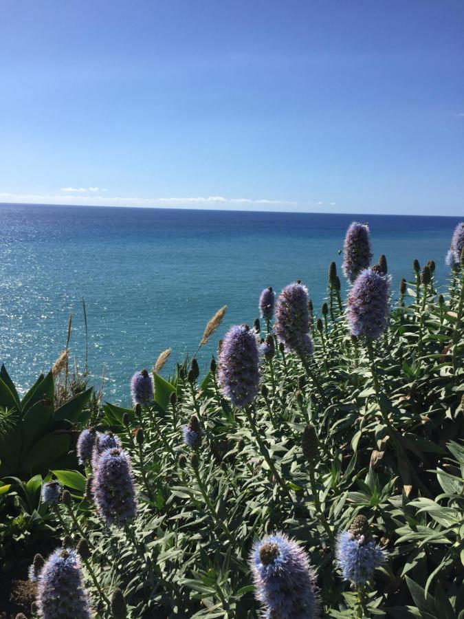 Calheta Ocean View Family Apartment - Air Condition Estreito Da Calheta Eksteriør billede